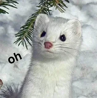 Telegram sticker 😶 @Top_Kekk 's bullshit