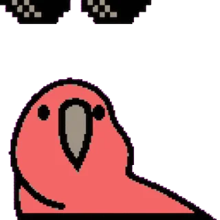 Video sticker ⭐ ᯽ Neon-Parrot ᯽│@laddukadabba2 ᯽