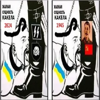 Telegram sticker 🧔‍♀️ @slivhohlaa |Админ European Division |