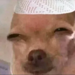 Telegram sticker 😂 @MJEED_24's_2