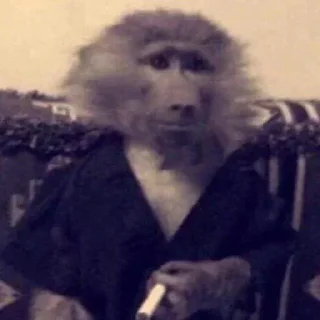 Video sticker 😂 @MJEED_24's_2