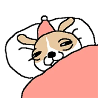 Telegram sticker 😀 치왈왈 2