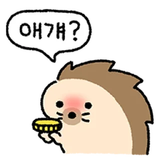 Video sticker ⭐ 매콤뾰족 고슴뚜치 @moe_sticker_bot