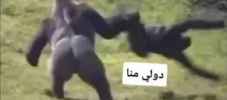 Sticker ⭐️ مصطفى جاسم • @amjaj8