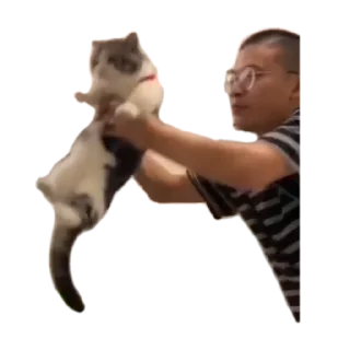 Телеграм стикер 💪 ArbuzDapi (@ArbuzDapi)