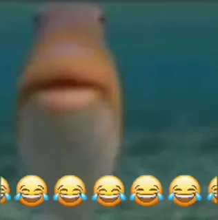 Video sticker 🐟 @ZIROLINK0 لینکدونی که خز نیست