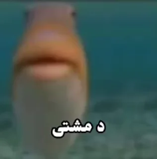 Video sticker 🐟 @ZIROLINK0 لینکدونی که خز نیست