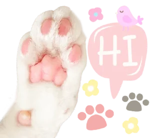 Video sticker ⭐ @Peepo879คนสวย