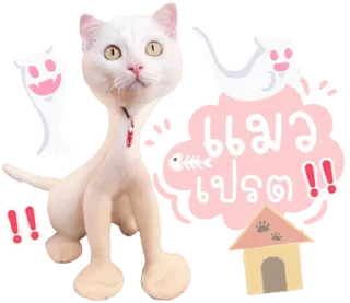 Telegram sticker ⭐ @Peepo879คนสวย