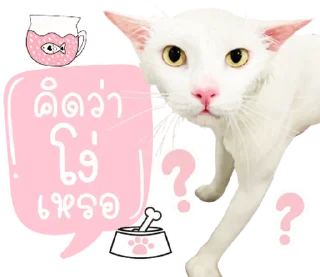 Telegram sticker ⭐ @Peepo879คนสวย