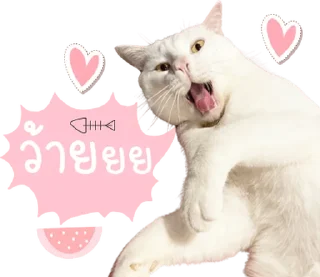 Telegram sticker ⭐ @Peepo879คนสวย