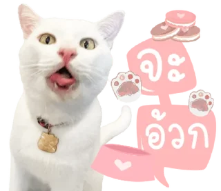 Telegram sticker ⭐ @Peepo879คนสวย