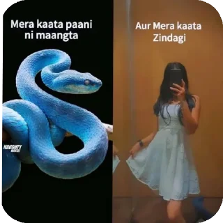 Video sticker 👗 Comeback nhi hua?
