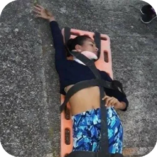 Telegram sticker 🐶 I always come back 🧇