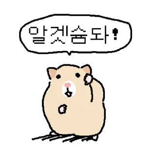Video sticker 👍 @KakaoEmoji 만찢햄스터 (오피스물ver.)