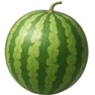 Telegram sticker 🍉 Больше стикеров тут: @stikery_emodzi_memy