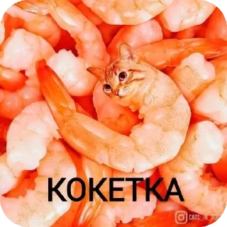 Телеграм стикер 🍲 Больше стиков тут: @stikery4