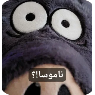 Video sticker 👍 Shombotan