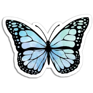 Video sticker 🦋 Butterfly ਤਿਤਲੀ @PunjabiSticker