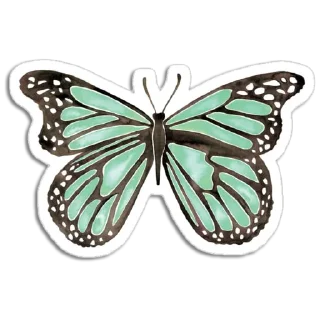 Telegram sticker 🦋 Butterfly ਤਿਤਲੀ @PunjabiSticker