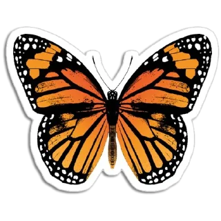 Telegram sticker 🦋 Butterfly ਤਿਤਲੀ @PunjabiSticker