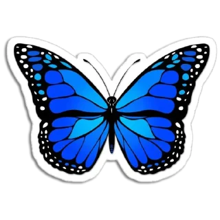Telegram sticker 🦋 Butterfly ਤਿਤਲੀ @PunjabiSticker