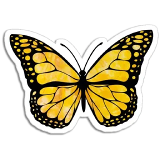 Telegram sticker 🦋 Butterfly ਤਿਤਲੀ @PunjabiSticker