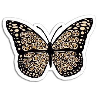 Telegram sticker 🦋 Butterfly ਤਿਤਲੀ @PunjabiSticker