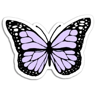 Video sticker 🦋 Butterfly ਤਿਤਲੀ @PunjabiSticker