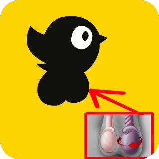 Video sticker 👍 ЧИЖИК ЯЙКИ :: @fStikBot