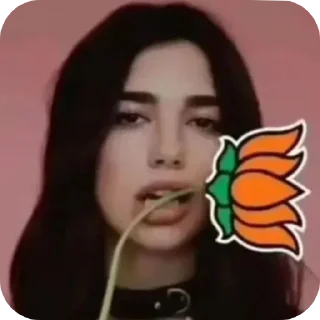 Telegram sticker 👄 🐨 Cute Koala :: @fStikBot