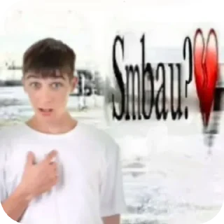 Telegram sticker ✋ 🐨 Cute Koala :: @fStikBot