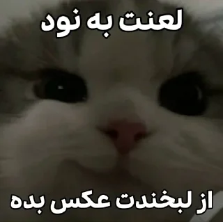 Телеграм стикер 😏 @lil_cringe‌          ‌ ‌        the moon