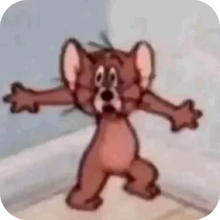 Video sticker 😨 Hasko