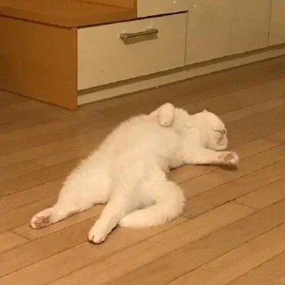 Telegram sticker 😵 Kaneki's Pack