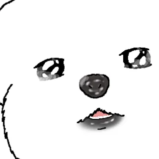 Telegram sticker 👍 @KakaoEmoji 촉촉한 코 말티즈 4