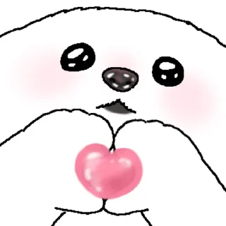 Telegram sticker 👍 @KakaoEmoji 촉촉한 코 말티즈 4