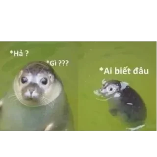 Telegram sticker 🫥 𝐍𝐚𝐛𝐢 𝐜𝐮𝐭𝐞 💋