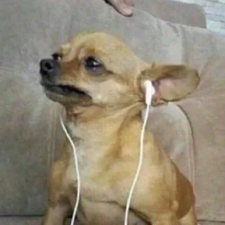 Telegram sticker 🎧 спешл фо Разишка by @fStikBot
