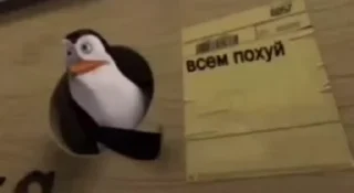 Video sticker ☺ @sticksbb <— больше стиков💓💘💞