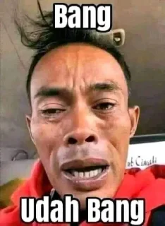 Telegram sticker 😭 anjayani cuk