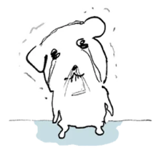 Video sticker ⭐ 듀! 가나디 @moe_sticker_bot