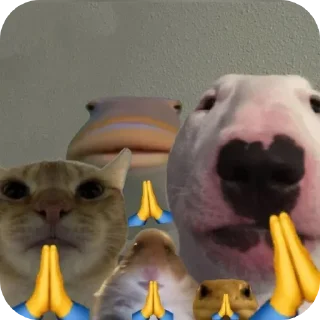 Telegram sticker 🐱 SAUSAGE PACK :: @fStikBot