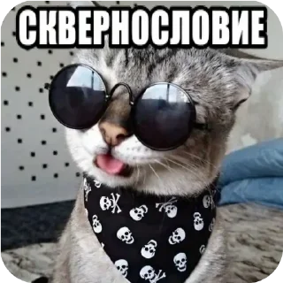 Video sticker 😎 Больше стиков тут: @stikery4