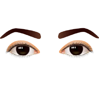 Video sticker 👀 Eyes ਅੱਖਾਂ @PunjabiSticker