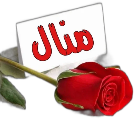 Telegram sticker 🌹 @Designer_Manal