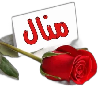 Video sticker 🌹 @Designer_Manal