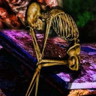 Telegram sticker 😢 جنده خونه شماره ۲