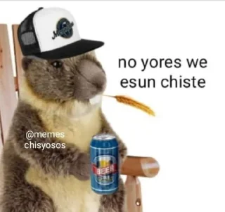 Video sticker 🎻 Memes Chisyosos chat