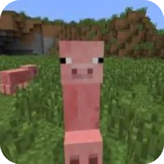 Video sticker 🐷 Для мужиков